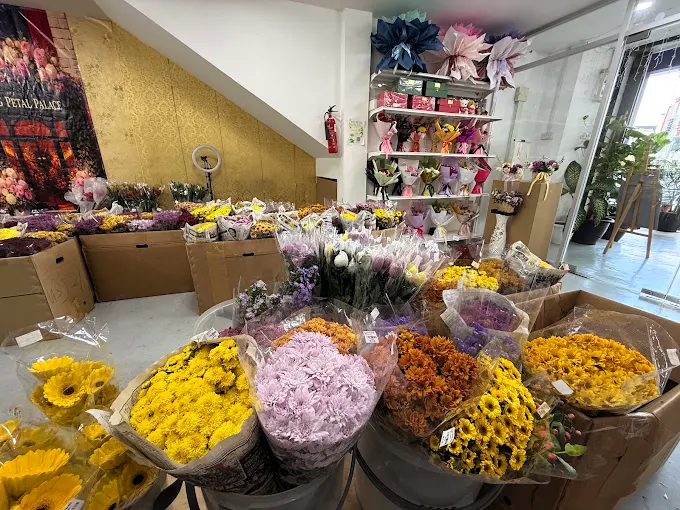FVG Petal Palace shop in Subang Jaya